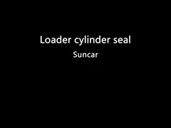 707-99-74120 заграждение набора 7079974120 обслуживаний поднимает комплект для ремонта затяжелителя колеса набора уплотнения Cyd video
