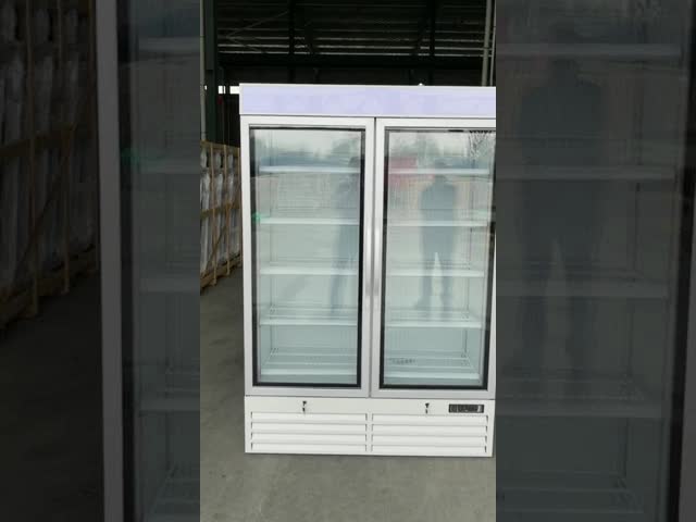 refrigerar de ar ereto comercial do termostato de Digitas do congelador da exposição do volume da exposição 800L