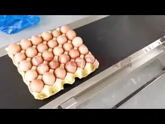 Яйцо экрана дисплея кодируя нержавеющую сталь транспортера 20m/Min video