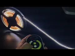 Водоустойчивый цвет приведенный прокладки SMD2110 гибкий двойной с умным регулятором video