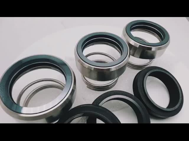 нечистоты погружающийся вала 25Mpa нагнетают механические уплотнения видео