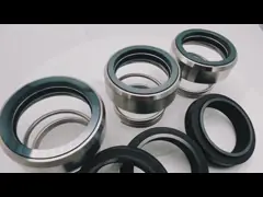 нечистоты погружающийся вала 25Mpa нагнетают механические уплотнения video