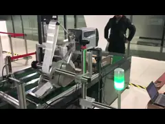 Horizontal Carton Feeder Machine Automatic Stainless Steel