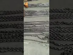 Блок инструментов 50t поднимаясь G80 EN 818 ISO ручной цепной video