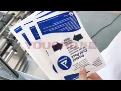 Automatic Friction Feeder Machine Paging High Productive 180W