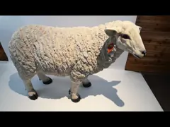 Оформление сада скульптуры белой в натуральную величину статуи овец тележки стеклоткани животное video