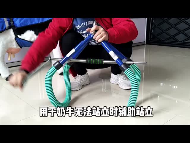 Stainless Steel Cow Hip Lifter High Strength Wear Resistant