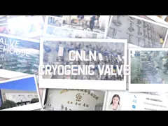 Тип криогенный клапан сварки нержавеющей стали отключенного клапана ДОЛГОТЫ аварийный video