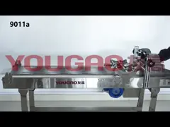 Automatic Carton Feeder Machine High Productive Stainless Steel