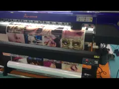 Принтер Skycolor растворяющего широкого формата Eco 2 голов струйный video