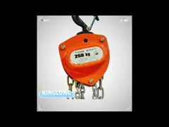 рука подъема склада 30T поднимаясь привелась в действие блок нося цепного шкива video