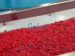 Línea de transformación mecanizada de la pasta de tomate 3T/H con la clasificación que se lava video