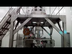 PLC плоской сумки молнии контролирует роторную упаковку Machine30Bags/минуту мешка video