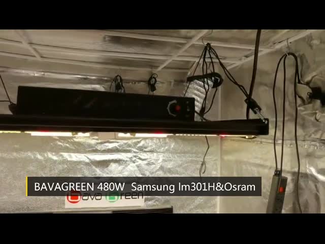 Samsung LM301H 480with ваш спектр iv ur полный растет света