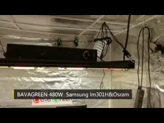 Доска LM301H 480w Veg ETL 1272 Umol/S SAMSUNG цветя СИД растет светлые наборы video