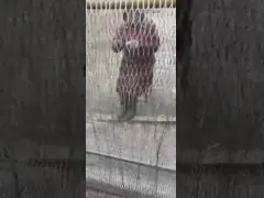 Большие птицы арретируют сеть кабеля Ferrule леопарда сетки веревочки дома 304 нержавеющим сплетенную небом video