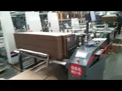 Horizontal Carton Feeder Machine With Labeller Stainless Steel
