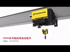 Европейский тип подъем веревочки провода двойной скорости электрический с модульным проектированием video