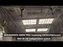 Садовническое СИД LM301H 500W HPS SAMSUNG привело Hydroponic растет света video