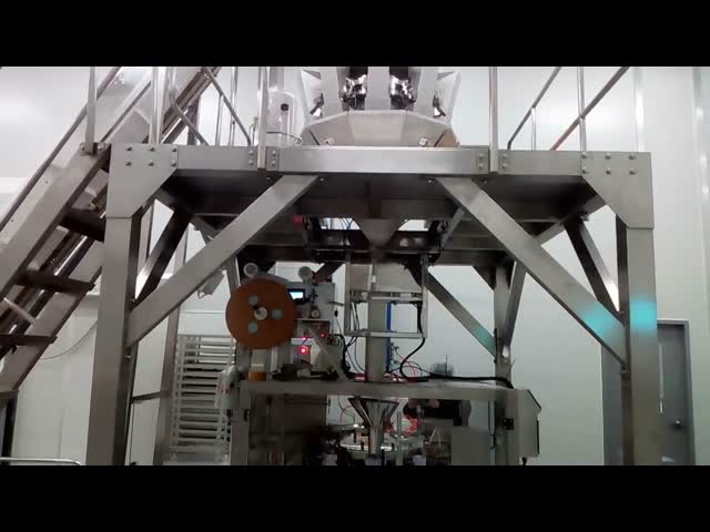 Multi Function 10heads Rotary Pouch Packing Machine Raisins Weighing
