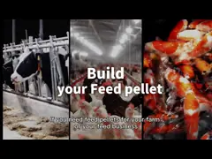 Завод питания лепешки птицы 4T/H 80kw 15mm с вибрируя экраном video