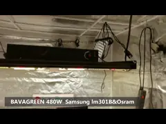 СИД 480w Osslon красное 660nm Samsung LM301B растет светлый приведенный спектр Dimmable полный video
