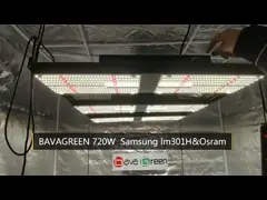 Bavagreen SAA Samsung LM301H Quantum Board 660nm Ir Uv 720w video