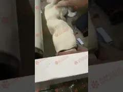 Деятельность коммерчески автоматической машины создателя кожи вареника машины макаронных изделий легкая video