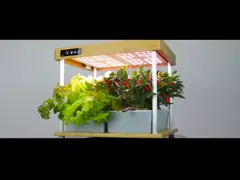 Цветок овоща дома света роста СИД умный Hydroponic засаживая систему video