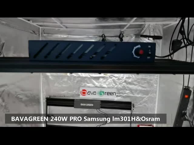 Полное СИД спектра растет светлое Osram 660nm 636 Umol/S SAMSUNG LM301H 3500k V2 видео