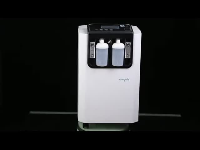 10l France Imported Molecular Sieve Ce Iso Medical Oxygen Generator
