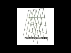 diameter 11mm Metal Garden Stakes for Plant Support