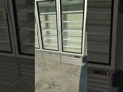 220V 50H খাড়া গ্লাস ডোর ফ্রিজার বেভারেজ গ্লাস ডিসপ্লে কুলার 1380L ডিসপ্লে ভলিউম