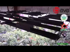 lm301h detachable uv red ir veg flower plant grow lights 4 single bar for plants indoor