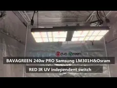 СИД SAMSUNG LM301B 240w растет света с УЛЬТРАФИОЛЕТОВЫМ и парник инфракрасн 3000k растет лампы video
