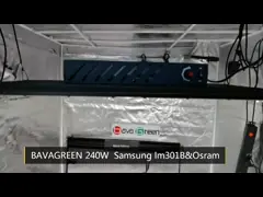 240W LM301B LED Grow Light
