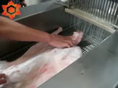 Промышленные гарантия 1 года нержавеющей стали 304 машины инжектора мяса материальная video