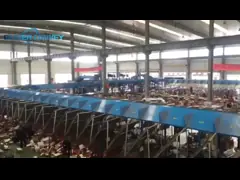 Cycling Postal Cross Belt Sorter For Courier CEP