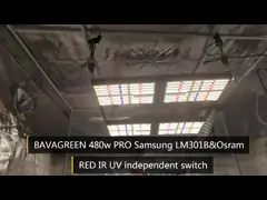 доска 12kg белая Oslon 660nm Кванта 480 доска СИД SAMSUNG LM301B ватта video