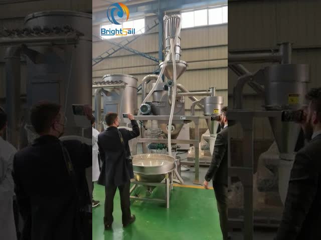 ハーブの根の粉の粉砕機機械Pinの製造所の粉砕機のCarobのポッドの小麦粉の粉砕機