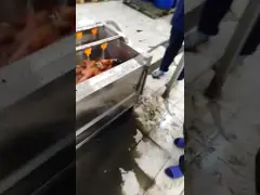 Промышленный очиститель морков 1400 кг/ч video