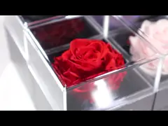 The idea behind YIZHI preserved rose is to keep the love, friendship and romantic forever.