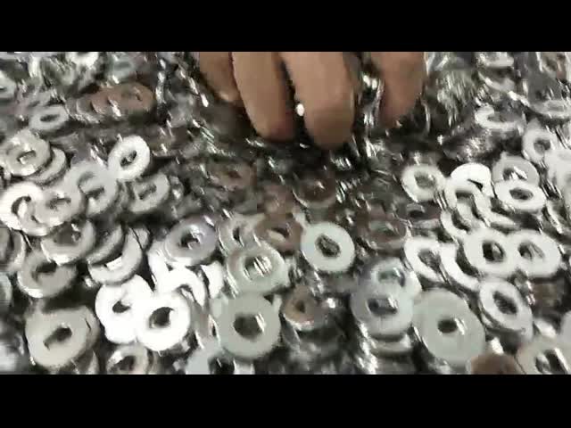 250HV Dは機械締める物の平らなステンレス鋼の洗濯機を形づけた