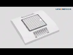 бензоколонка Анти--слепимости высокой эффективности 165lm/w привела света сени с 5 летами гарантии video