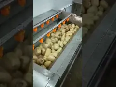 Машина для очистки лука PLC 2000 кг/ч Инжир чеснок Кожа очищающая машина video