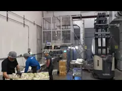 Автоматическая измеряя высокоскоростная рамка 250pcs/Min Weigher 304SS проверки video