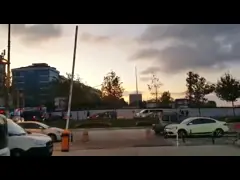 Автоматическая паркуя нержавеющая сталь заграждения руки барьера ворот IP55 прямая video