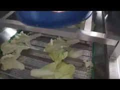 1500 кг/ч Датские фрукты овощная сушилка для сушки фруктов video