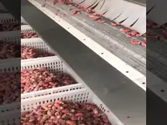 Цифровое регулирование температуры пищевых продуктов IQF морозильная машина R404 холодильник video