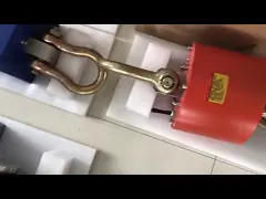 Промышленный кран смертной казни через повешение легированной стали цифров масштабирует с беспроводным удаленным регулятором video